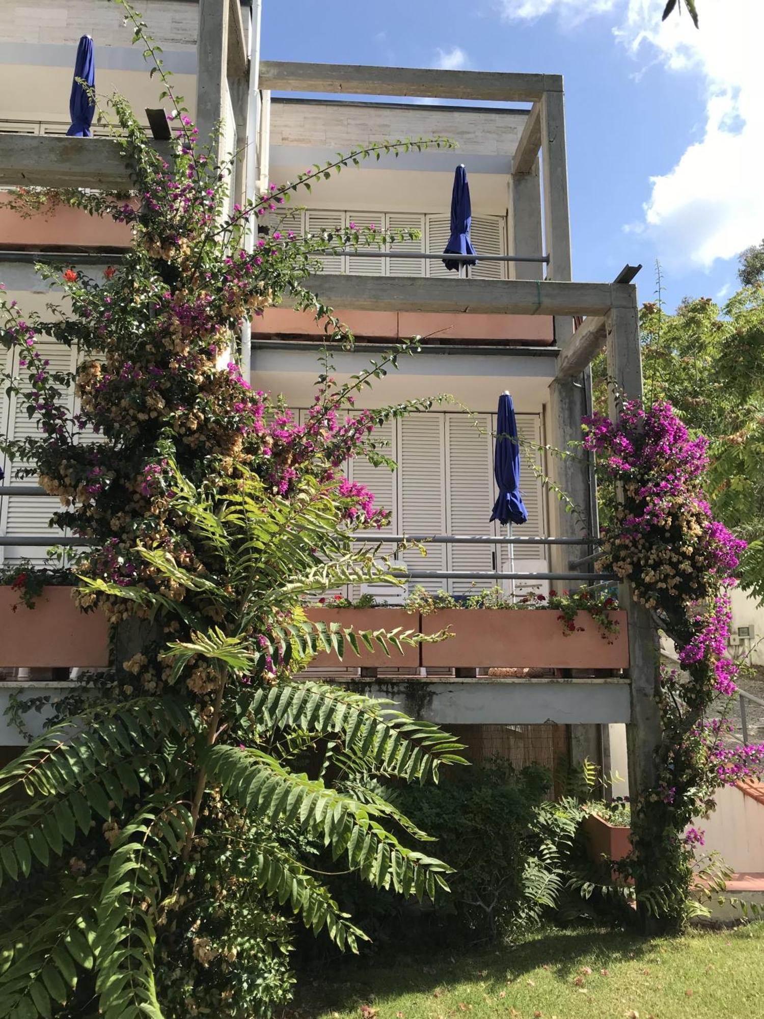 Hotel Viticcio Portoferraio Cameră foto